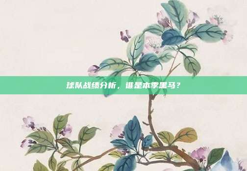 球队战绩分析，谁是本季黑马？