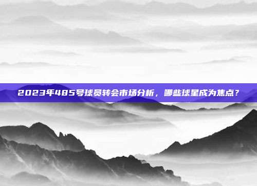 2023年485号球员转会市场分析，哪些球星成为焦点？