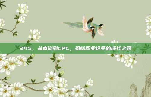 345，从青训到LPL，揭秘职业选手的成长之路