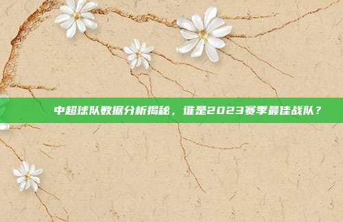 📊 中超球队数据分析揭秘，谁是2023赛季最佳战队？