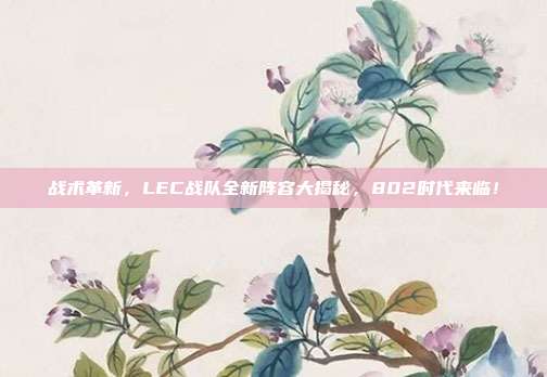 战术革新，LEC战队全新阵容大揭秘，802时代来临！