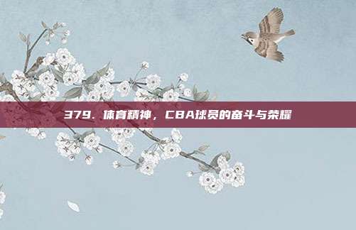 379. 体育精神，CBA球员的奋斗与荣耀✊